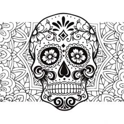 Dyedbro Transmission Dia De Muertos Kit De Protection De Cadre, Transparent/noir