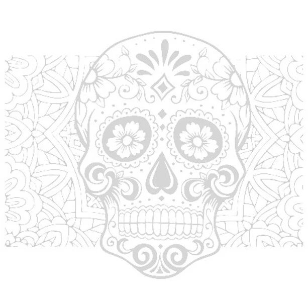 Dyedbro Transmission Dia De Muertos Kit De Protection De Cadre, Transparent/blanc