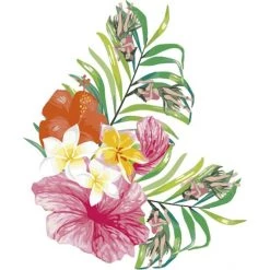 Dyedbro Transmission Hawaii Kit De Protection De Cadre