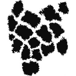 Dyedbro Transmission K Mack Animal Print Kit De Protection De Cadre, Transparent/noir