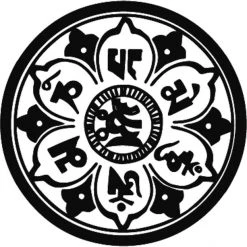 Dyedbro Transmission Mandala Kit De Protection De Cadre, Transparent/jaune